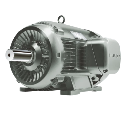 HD Hyundai Electric IEEE 841 petroleum and chemical duty electric motor